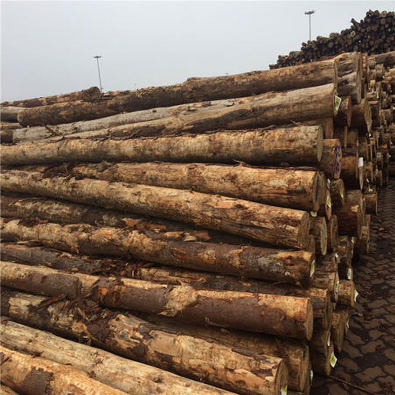 莆田百年建筑木方厂家