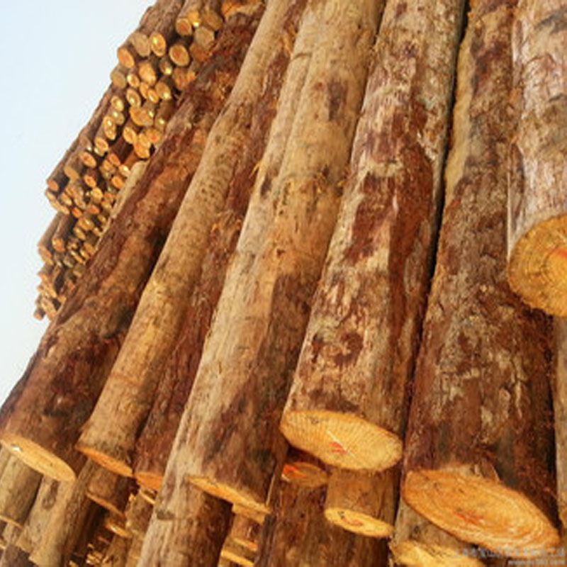 佛山百年加松厂家