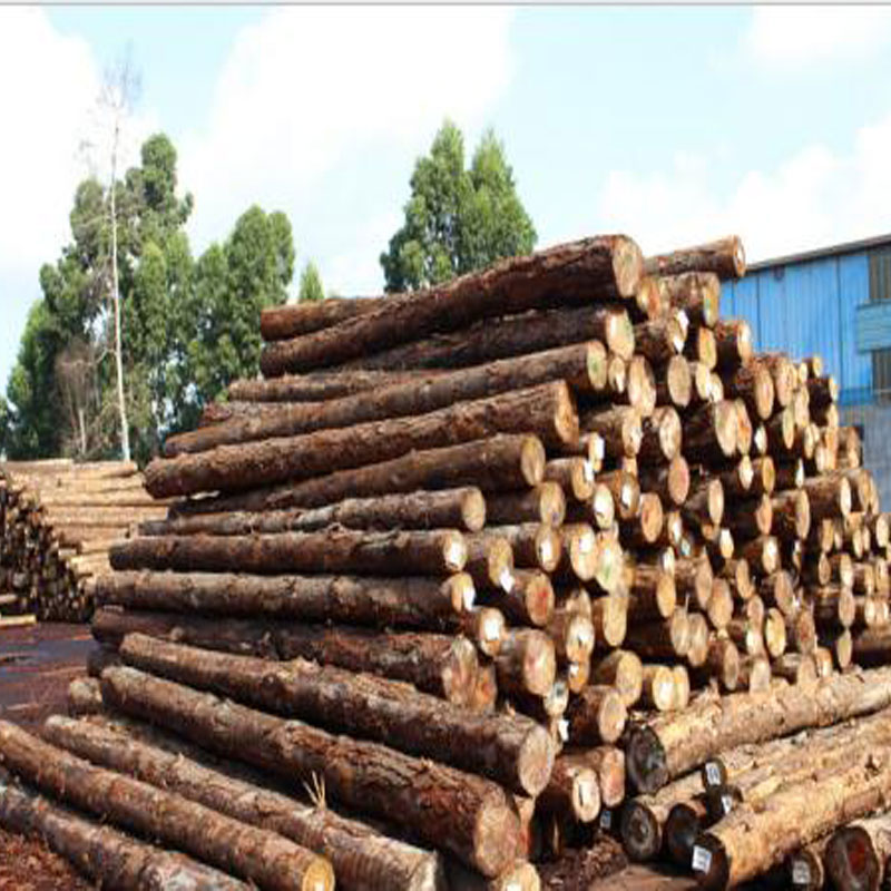 重庆百年木方模板价格