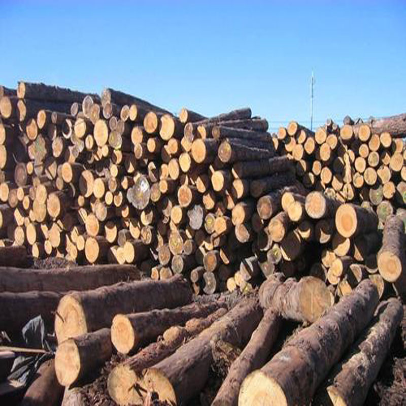 重庆百年木方模板价格