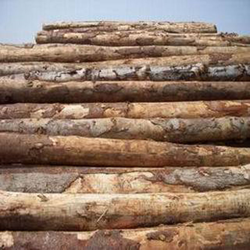 海口进口建筑木方批发