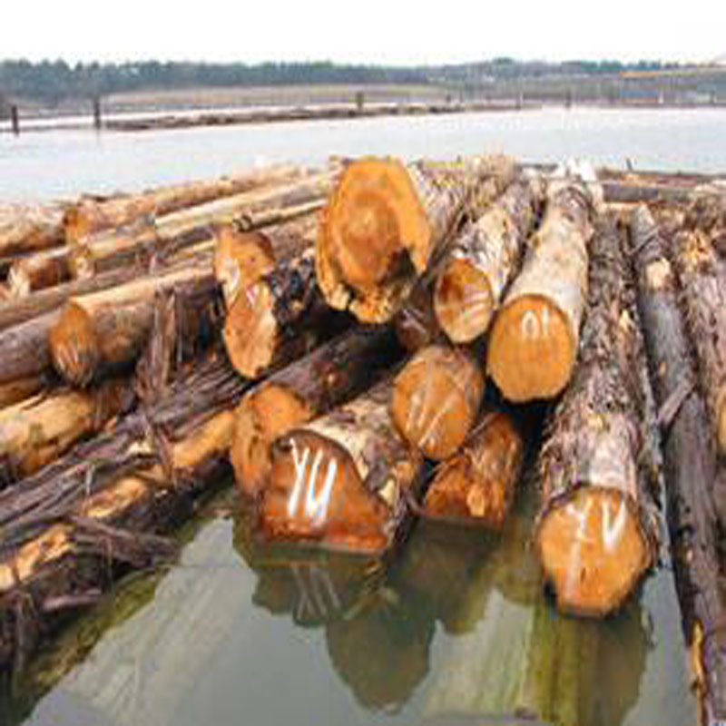 重庆百年木方模板价格